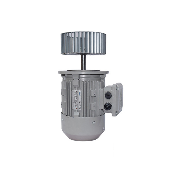 1733986460117046.jpeg 三相鑄鐵殼耐高溫長(zhǎng)軸電機(jī).jpeg