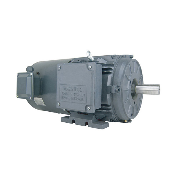 1734007755816829.jpeg 三相變頻電機(jī).jpeg